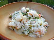 Risotto-met-gamba's